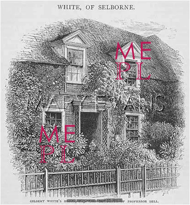 : GILBERT WHITE / SELBORNE : GILBERT WHITE / SELBORNE