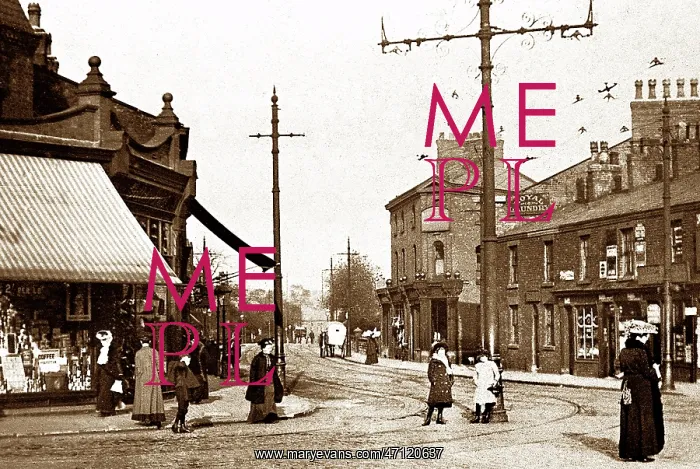  : Gilda Brook Road, Eccles, early 1900s