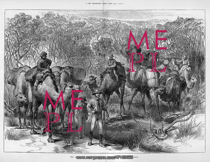 : GILES AUSTRALIAN TRIPS : GILES AUSTRALIAN TRIPS