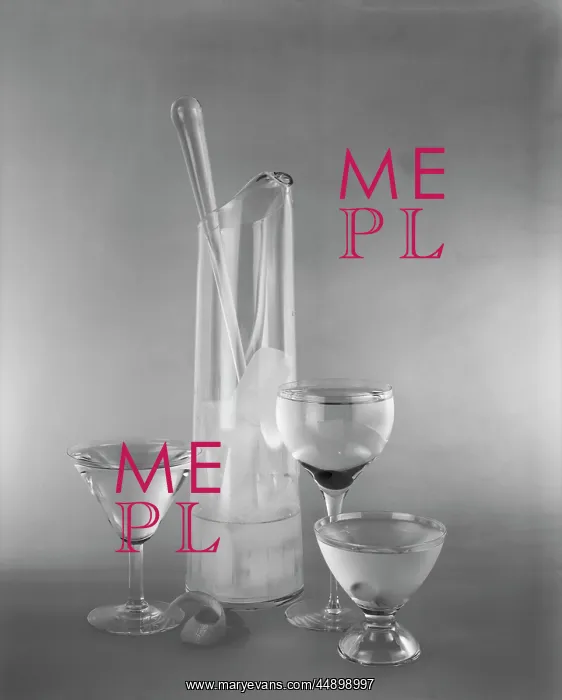: Gin Drinks Cocktail Servers Alcohol : Gin Drinks Cocktail Servers Alcohol