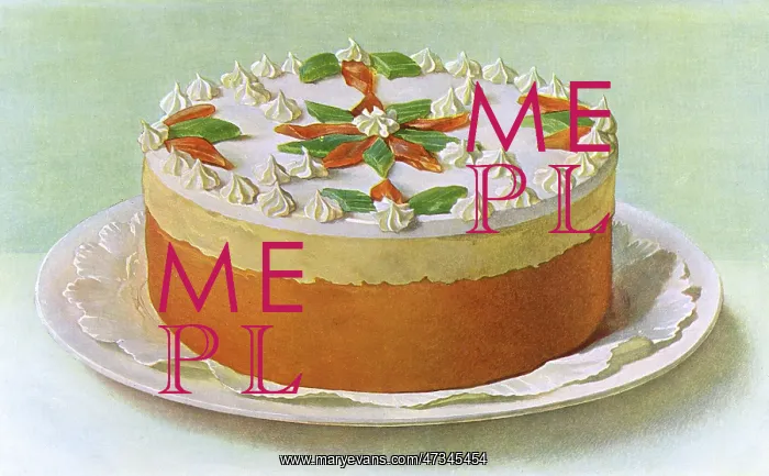  : GINGER CAKE