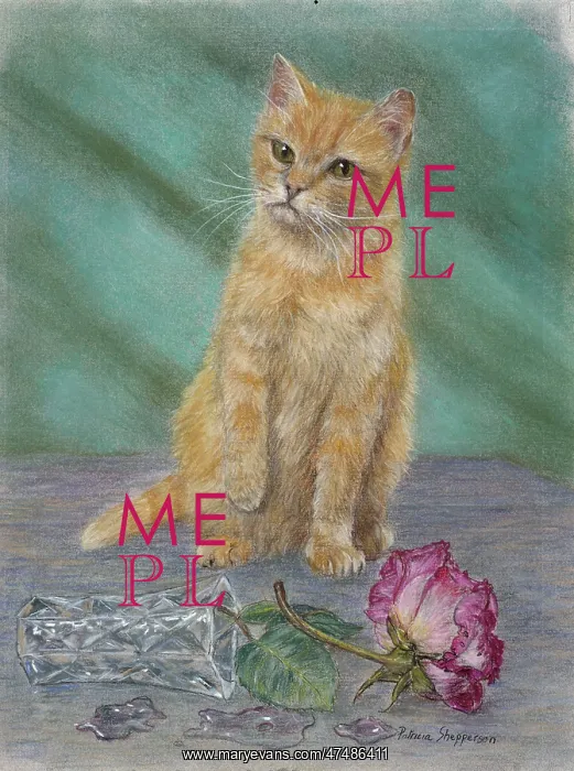  : Ginger cat with fallen vase and rose