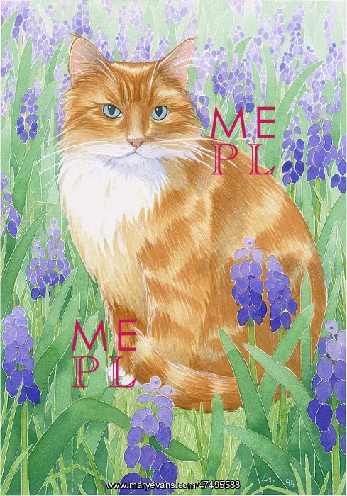  : Ginger Cat with Grape Hyacinths