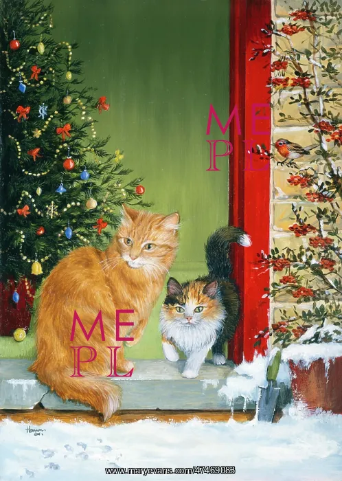: Ginger Cat and Kitten : Ginger Cat and Kitten