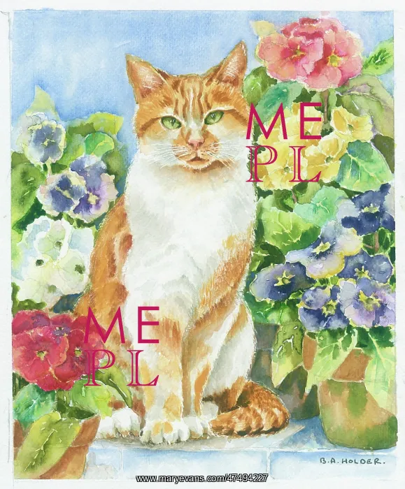  : Ginger cat and polyanthus