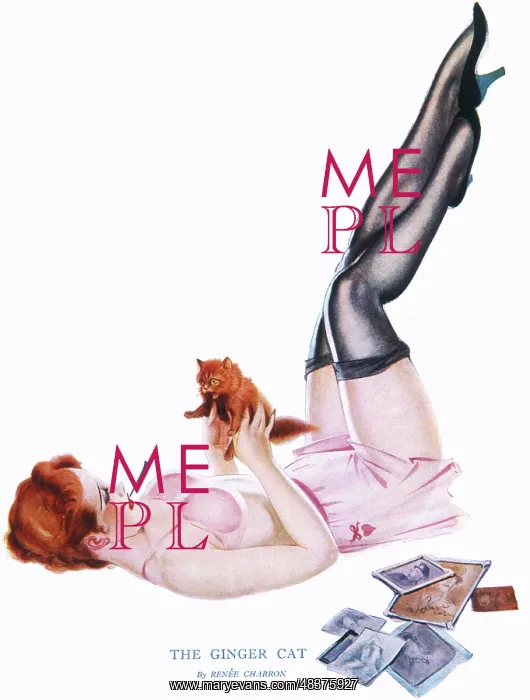 : The Ginger Cat by Renee Charron : The Ginger Cat by Renee Charron