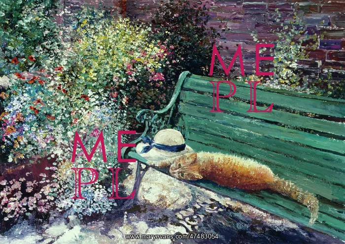  : Ginger cat and sunhat on garden seat