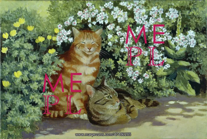 : Ginger cat and Tabby cat with yellow poppies : Ginger cat and Tabby cat with yellow poppies