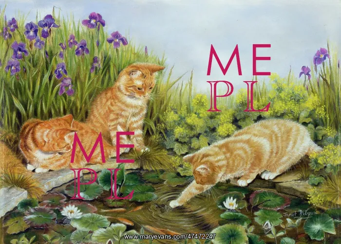 : Three ginger cats by a garden pond : Three ginger cats by a garden pond
