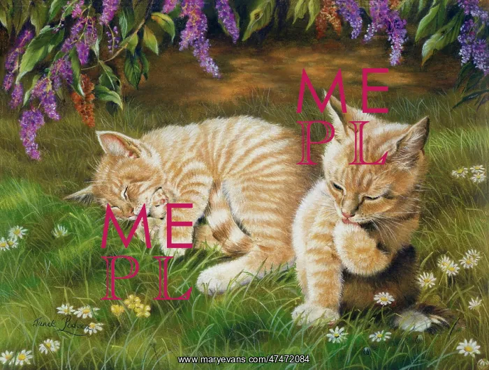  : Two ginger kittens in the garden