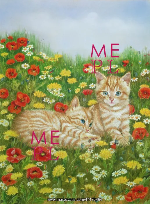 : Two Ginger Tabby Kittens in a Meadow : Two Ginger Tabby Kittens in a Meadow