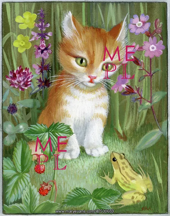 : Ginger and white kitten looking at a frog : Ginger and white kitten looking at a frog