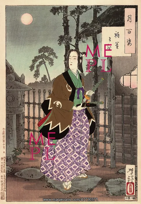 : The Gion District : The Gion District