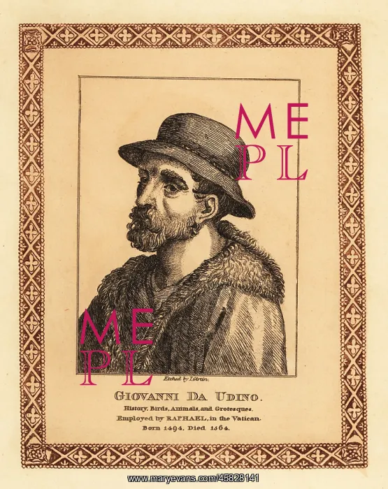 : Giovanni da Udine, Italian painter and architect : Giovanni da Udine, Italian painter and architect