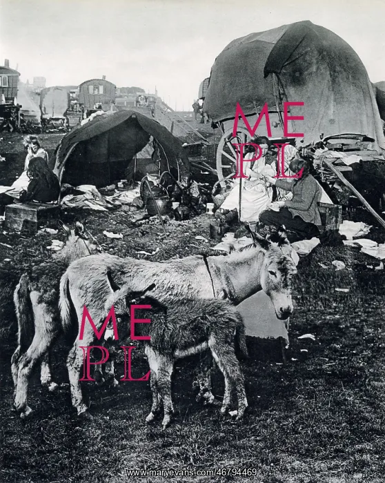 : Gipsies of Epsom Downs : Gipsies of Epsom Downs