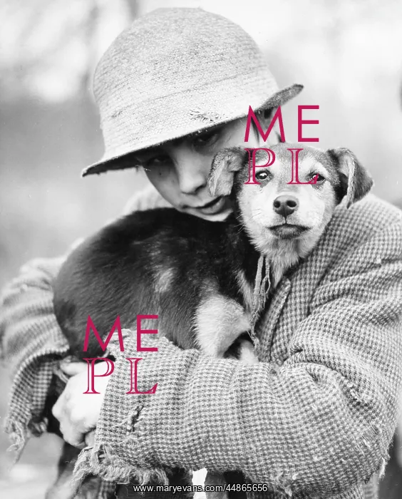 : GIPSY BOY & DOG : GIPSY BOY & DOG