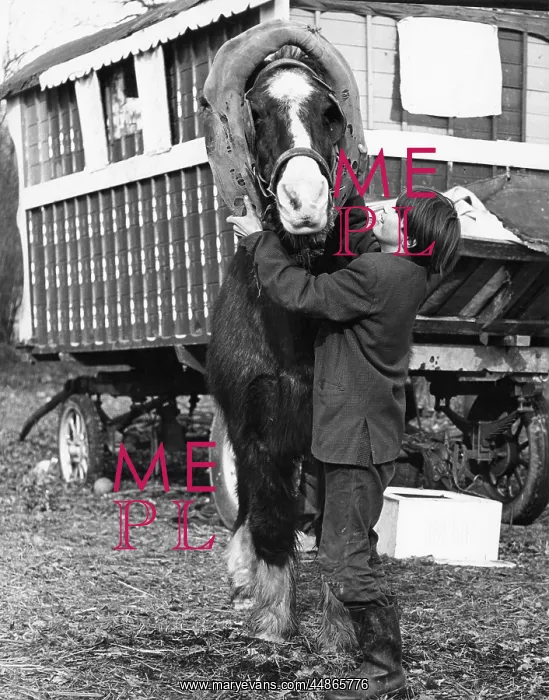 : GIPSY BOY & HORSE 1973 : GIPSY BOY & HORSE 1973