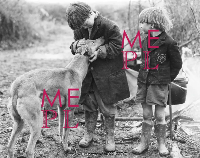 : GIPSY BOYS & DOG : GIPSY BOYS & DOG