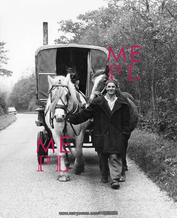 : GIPSY, HORSES, CARAVAN : GIPSY, HORSES, CARAVAN