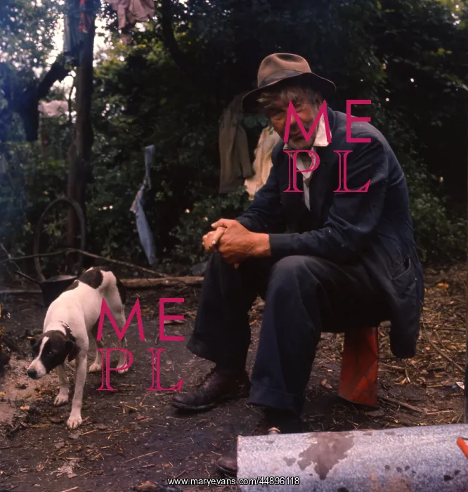 : Gipsy man and his pet dog : Gipsy man and his pet dog