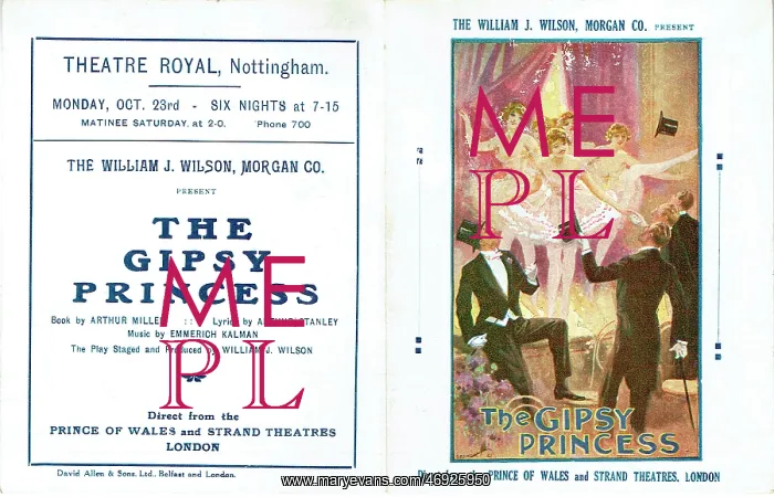 : The Gipsy Princess : The Gipsy Princess