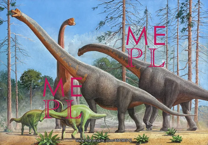 : Giraffatitan and Dicraeosaurus dinosaurs grazing in a ? : Giraffatitan and Dicraeosaurus dinosaurs grazing in a ?