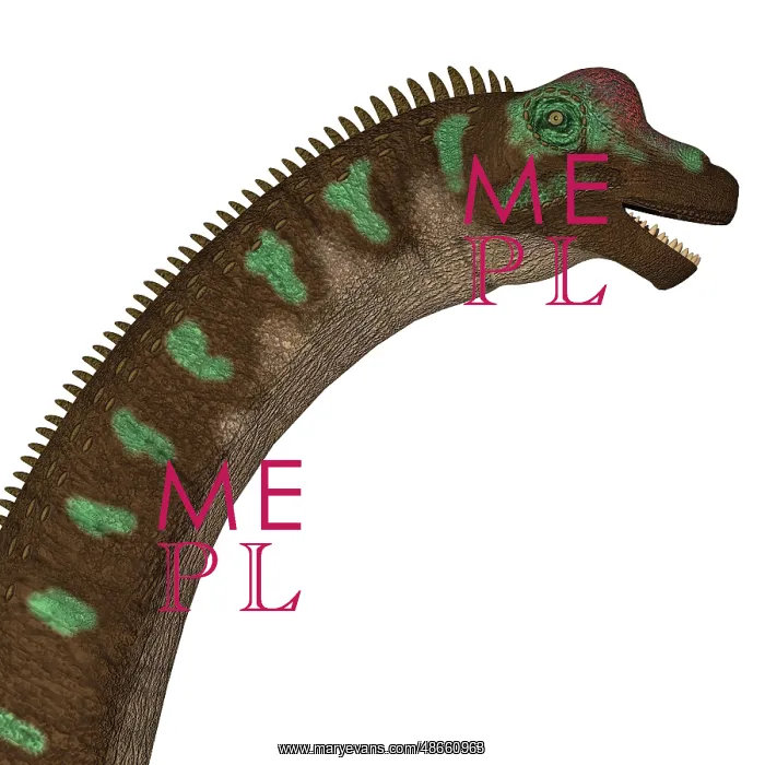 : Giraffatitan dinosaur head : Giraffatitan dinosaur head