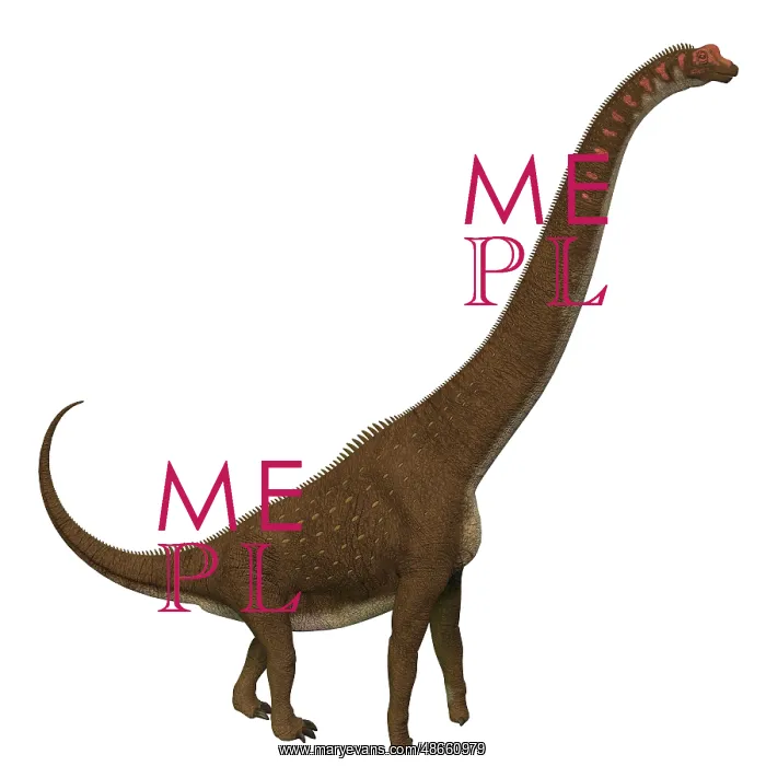 : Giraffatitan dinosaur, side profile : Giraffatitan dinosaur, side profile