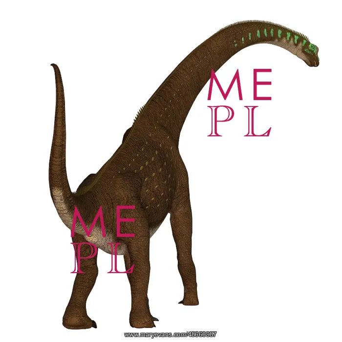 : Giraffatitan dinosaur, rear view : Giraffatitan dinosaur, rear view