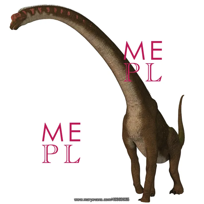 : Giraffatitan dinosaur on white background : Giraffatitan dinosaur on white background