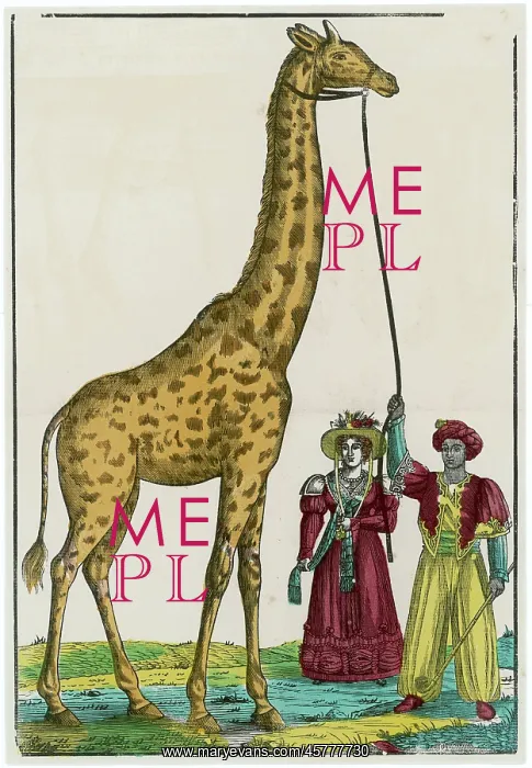 : GIRAFFE AT PARIS 1826 : GIRAFFE AT PARIS 1826