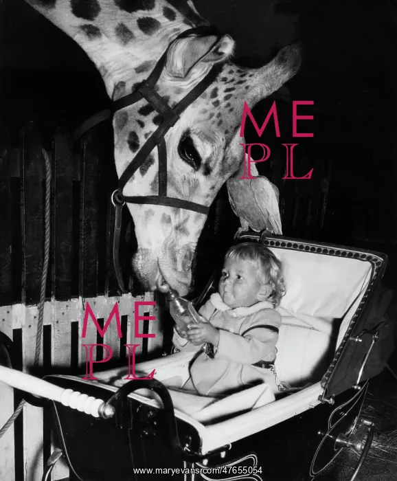 : Giraffe, parrot and baby in pram : Giraffe, parrot and baby in pram