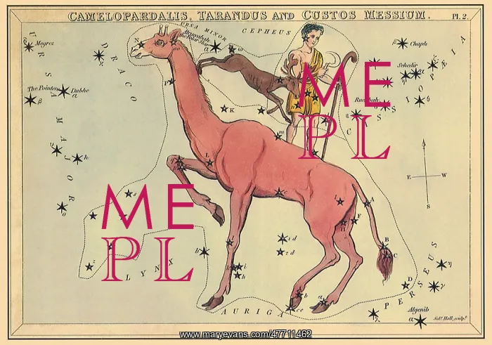 : Giraffe, Reindeer, Boy : Giraffe, Reindeer, Boy