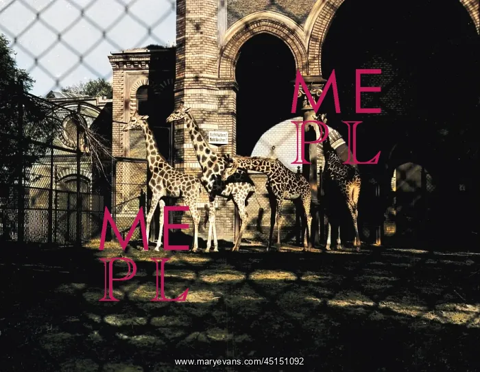  : GIRAFFES AT BERLIN ZOO