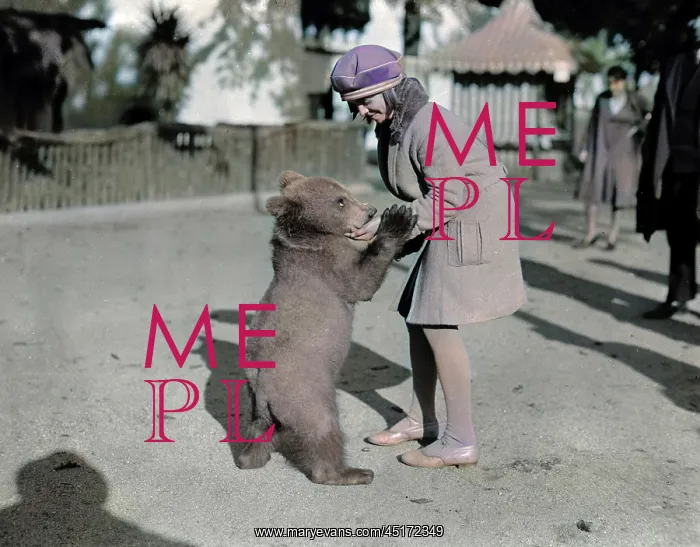 : GIRL AND BABY BEAR : GIRL AND BABY BEAR