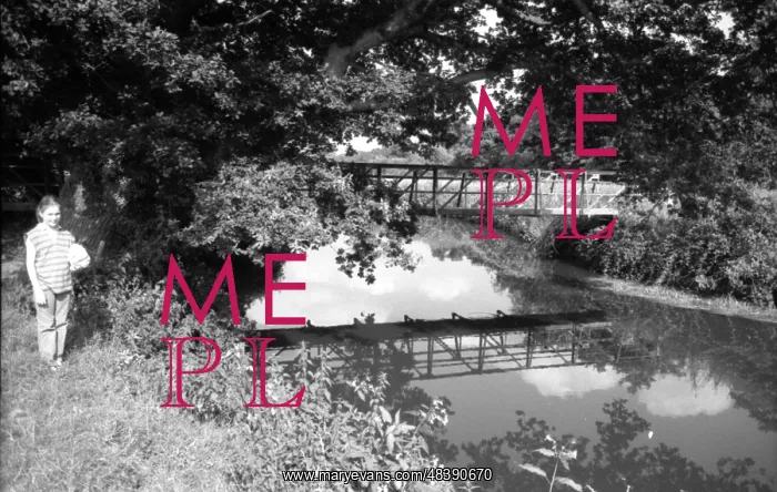 : Girl by the banks of the River Eden : Girl by the banks of the River Eden