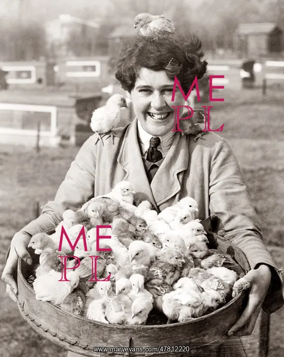 : Girl with a basket full of Easter chicks, 1930's : Girl with a basket full of Easter chicks, 1930's