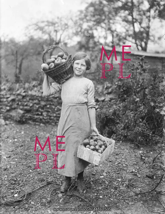 : Girl with baskets of apples : Girl with baskets of apples