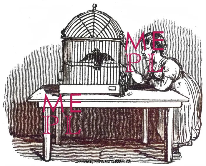 : Girl with caged bird, c. 1800 : Girl with caged bird, c. 1800