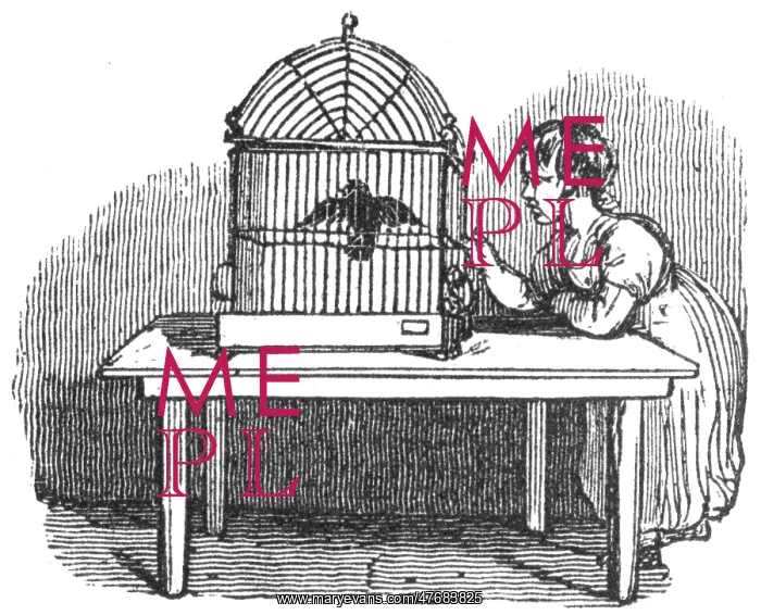 : Girl with caged bird, c. 1800 : Girl with caged bird, c. 1800