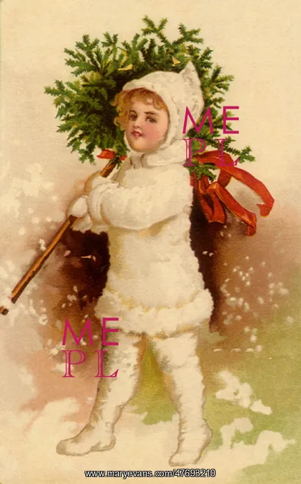 : Girl Carrying Small Christmas Tree : Girl Carrying Small Christmas Tree