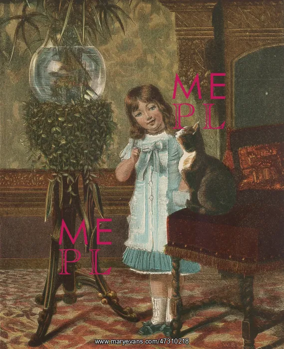 : GIRL WITH CAT / GOLDFISH : GIRL WITH CAT / GOLDFISH