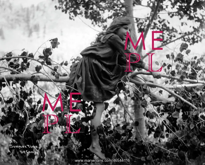  : Girl Climbing a Tree