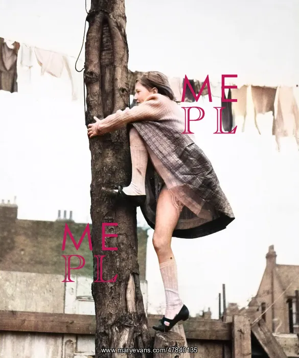 : Girl climbing tree, line of washing, Balham, SW London : Girl climbing tree, line of washing, Balham, SW London