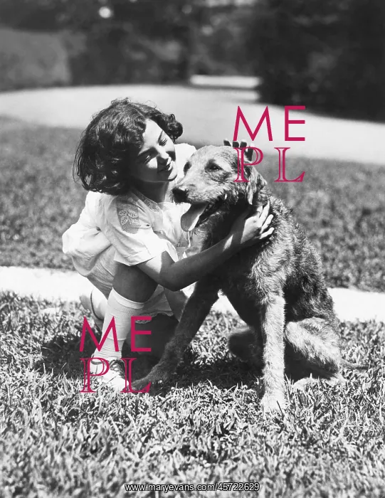 : Girl crouching down to pet her dog
