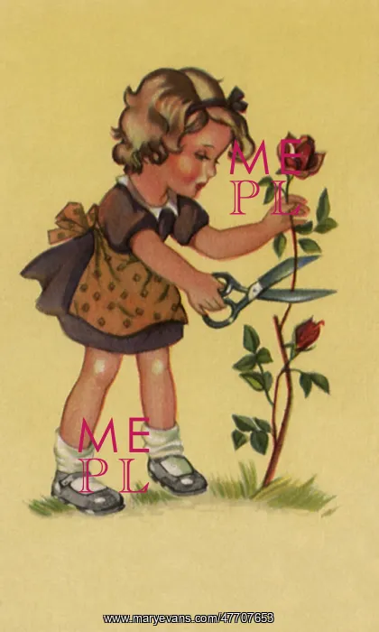  : Girl Cutting Rose