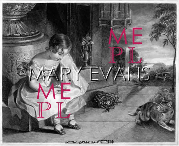 : GIRL & DEAD BIRD : GIRL & DEAD BIRD