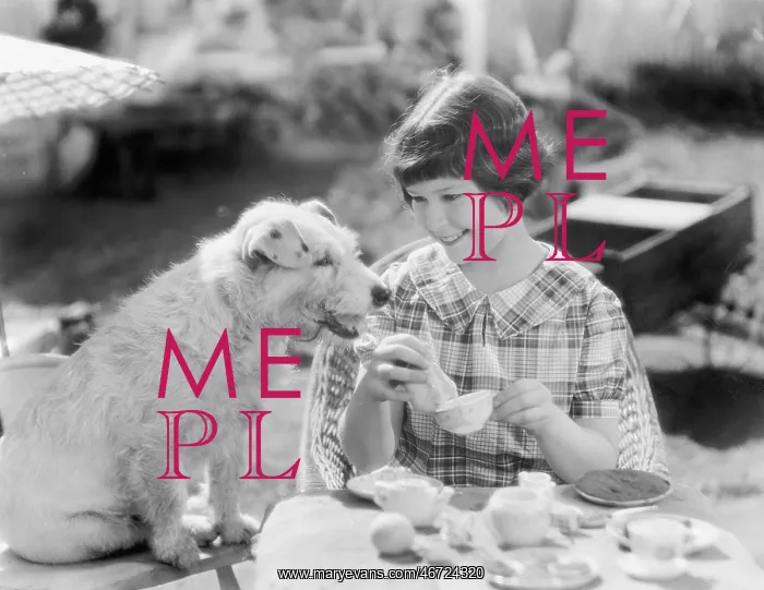 : Girl and her dog having a picnic : Girl and her dog having a picnic