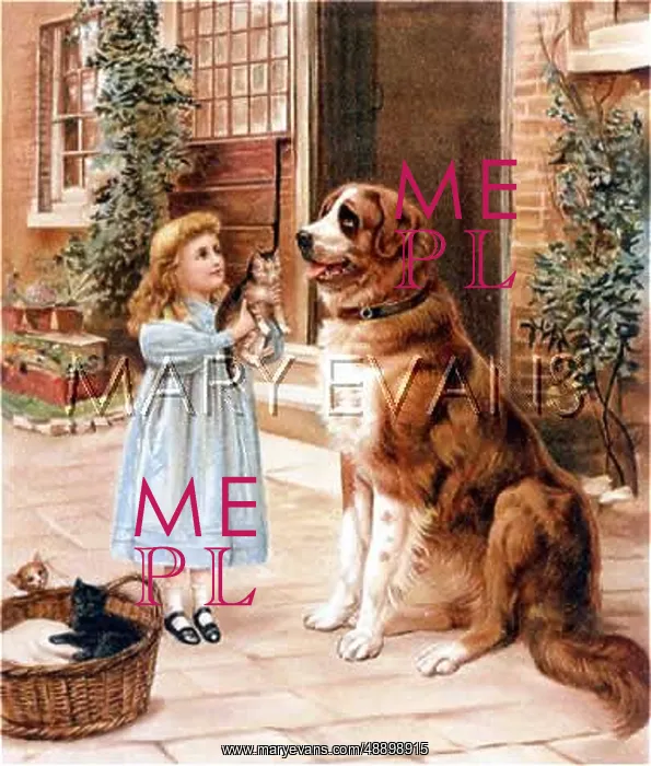 : GIRL WITH DOG / KITTENS : GIRL WITH DOG / KITTENS