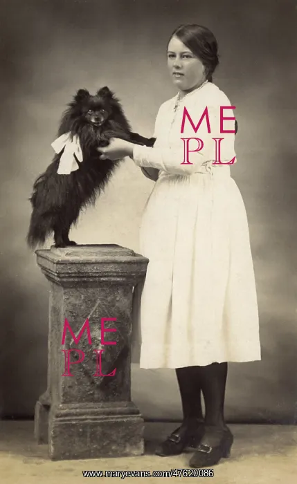  : Girl with dog in studio photo